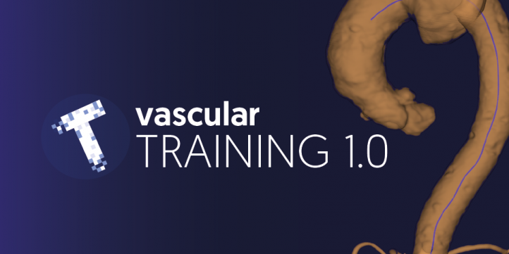 vasculartraininginitlogo2-01